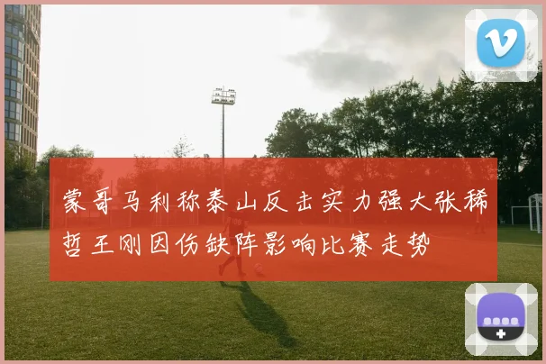 蒙哥马利称泰山反击实力强大张稀哲王刚因伤缺阵影响比赛走势